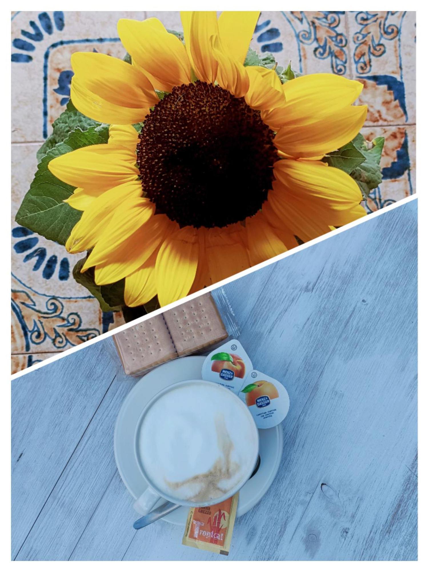 B&B Il Girasole Finale Ligure Eksteriør bilde